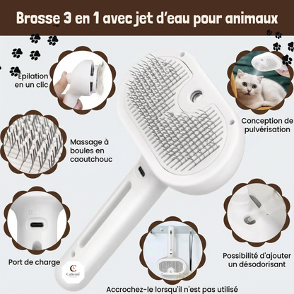 Brosse Vapeur pour Animaux - Démêlant et Massage