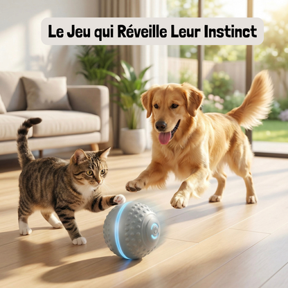 Balle Interactive Intelligente pour Chien et Chat - Rechargeable USB