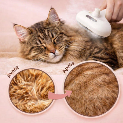 Brosse Vapeur pour Animaux - Démêlant et Massage