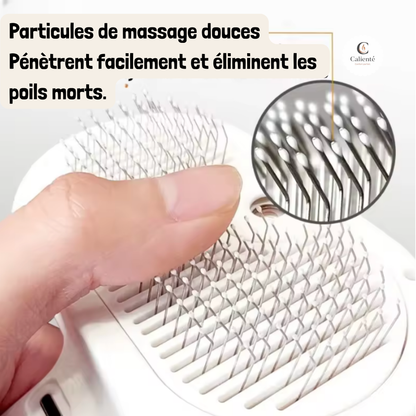 Brosse Vapeur pour Animaux - Démêlant et Massage