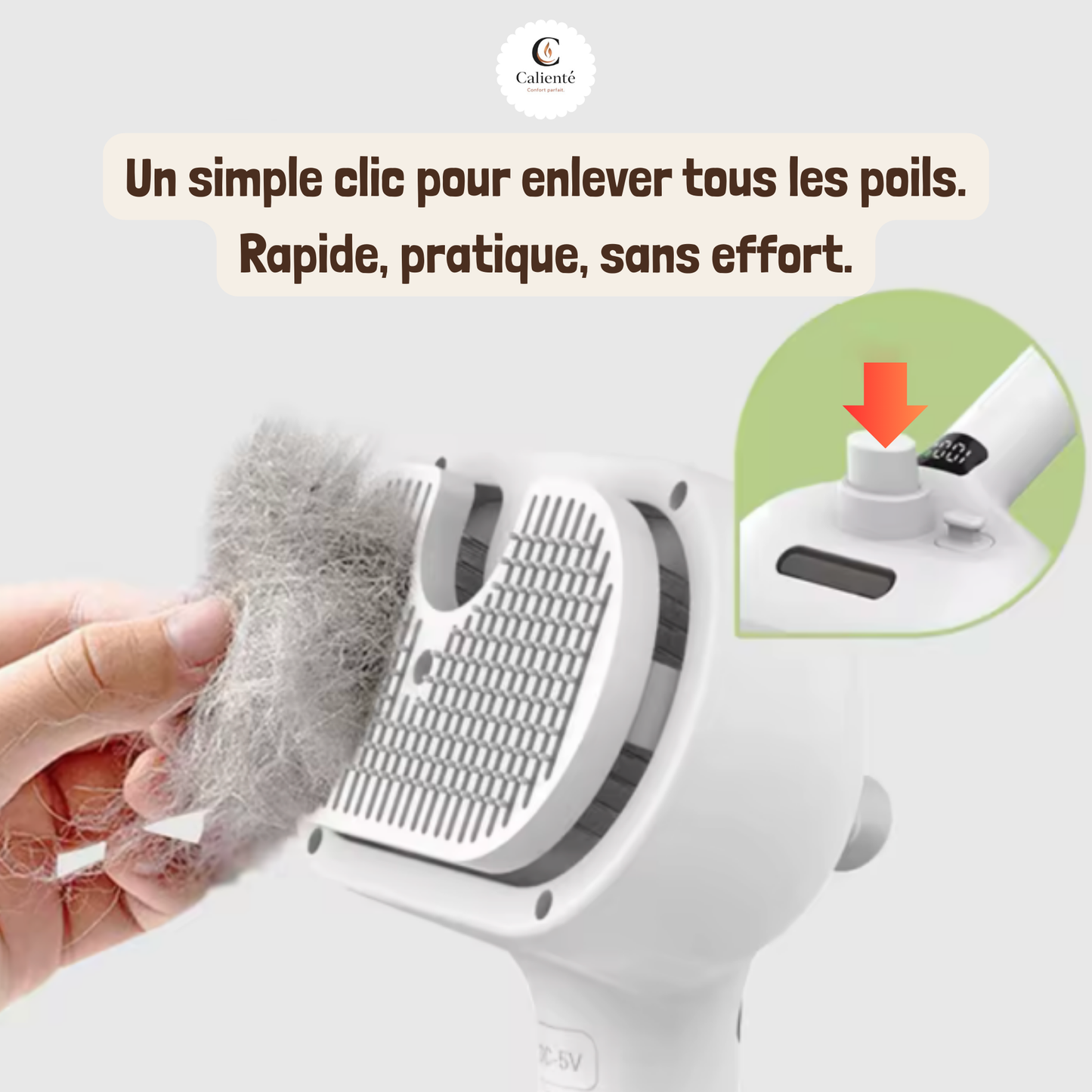 Brosse Vapeur pour Animaux - Démêlant et Massage