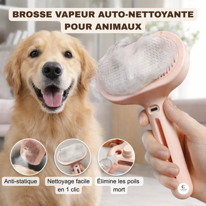 Brosse Vapeur pour Animaux - Démêlant et Massage
